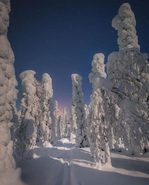Villa Golden Hill Ylläs, Luxury holiday cabin in Lapland