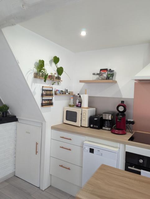 Le Bangorcoon Duplex Véro