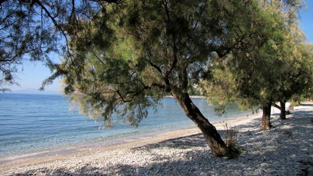 Iro family apartments pelion