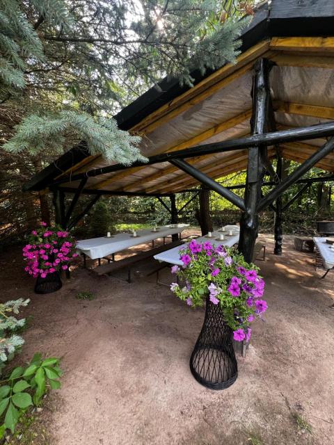 Glamping za Zamkiem w Chęcinach