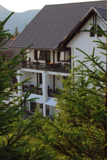 Cetina