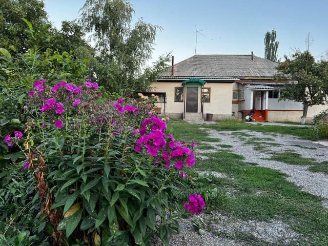 Bulak - Kyrgyz Family Hostel