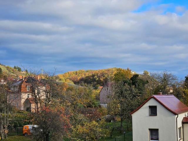 Ferienwohnung mit Weinbergblick