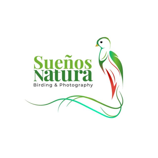 S Natura Birding and Photography