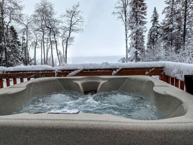 Eagles' Nest - Lakefront Private Beach Hot Tub