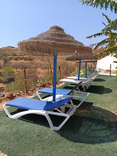 Glamping Finca el Olivo