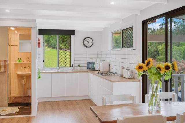 Pet friendly cozy cabin