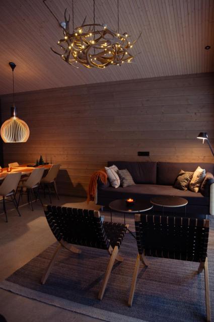 Villa Alveus - Nordic design cabin in Ylläs