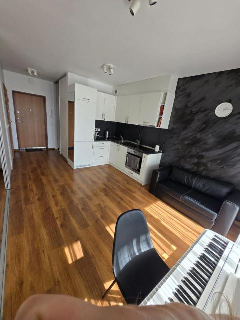 The cosiest apartment in Vilnius