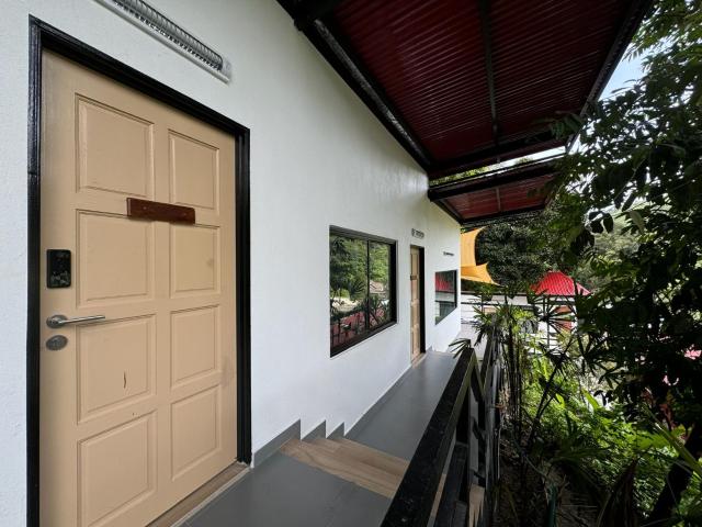 Hillside Red Cabin