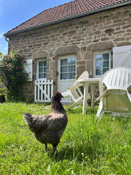 Gîtes Le Fer A Cheval Vassivière