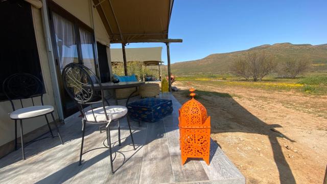 Marquee Safari Tent lachenalias