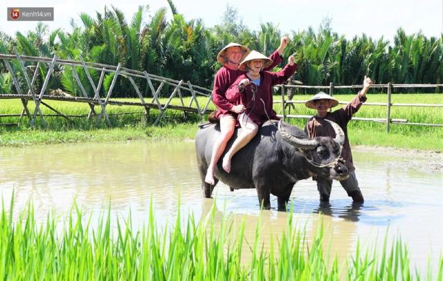 Tam Coc Sunshine Hostel