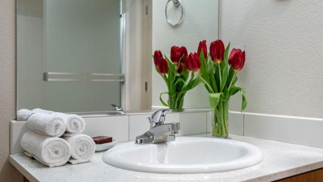 Luxury 1 bedroom 1bath Pearl District Fast WiFi