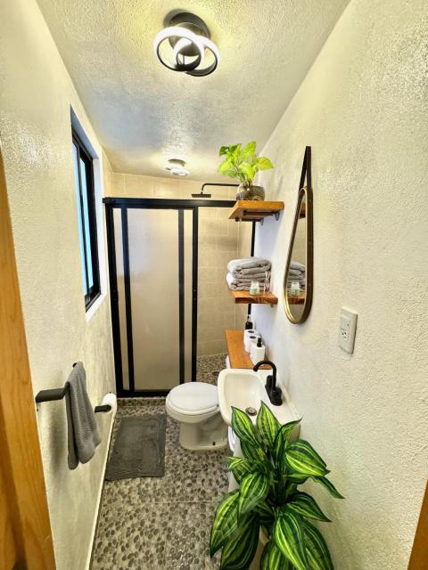 Hermoso e iluminado departamento con aire acondicionado citla 9