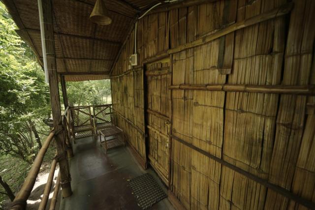 JUNGLE PARADISE FARM & GUEST HOUSE