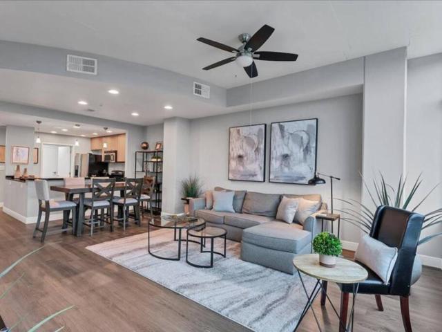 Luxury 1260sq ft 2 Bd 2BTH in DT