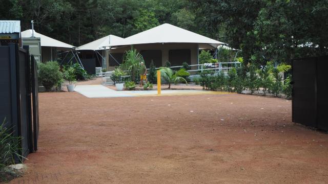 Queen Safari Tent 1
