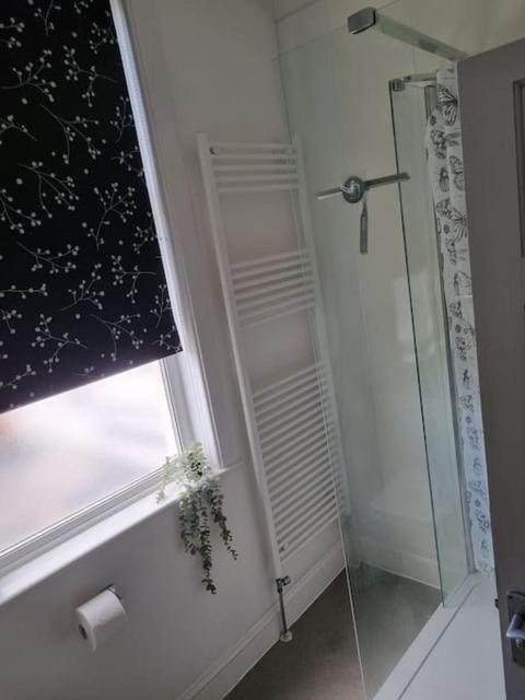 Cozy Studio in the Heart of Brighton