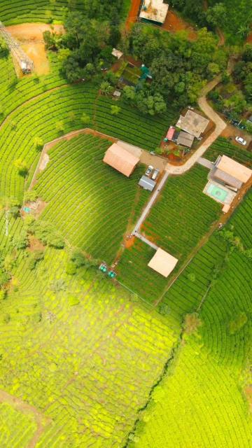Cloud Canopy - Tea Garden Family Pool Cottage in Vagamon