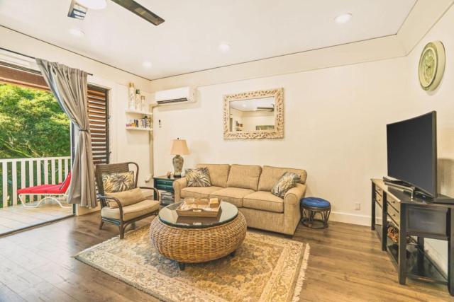 Full Remodeled 1br condo with Air conditioner