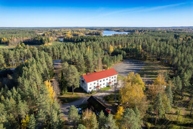 Kangaskoti