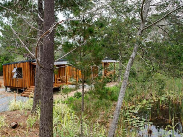Forest Gate Cabins