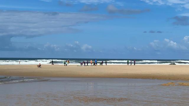 Escape MobilHome aux Dunes de Contis