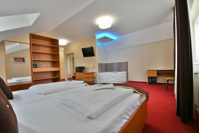 Hotel Platan