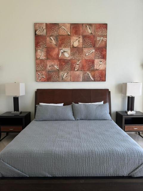 Luxury Penthouse Seibal - Vidanta