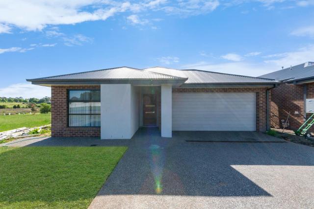 Morview Holiday Homes-Elephant