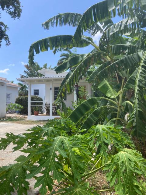 Cozy home in Curaçao