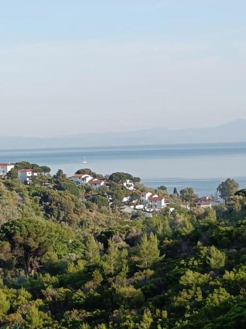 Villa Cassiopee, Skiathos Luxury Villa