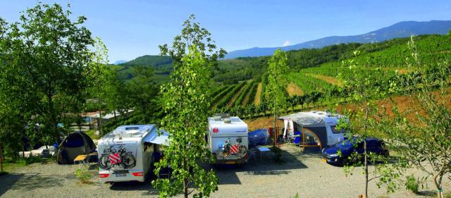 Saxida Wine & Camping Resort - Campsite