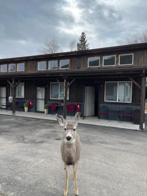 Corral Villas Yellowstone