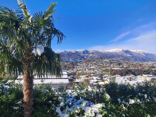 Suite Apartment with a view and free parking