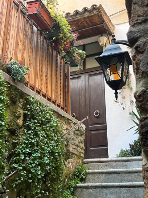 Vitozzi Suite