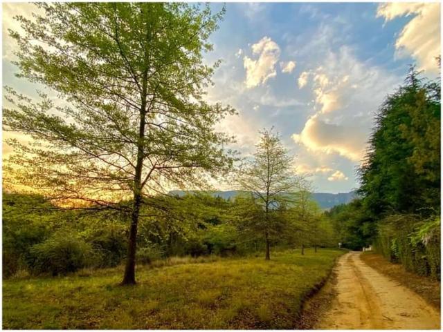 Brackenburn Trout and Trail Retreat
