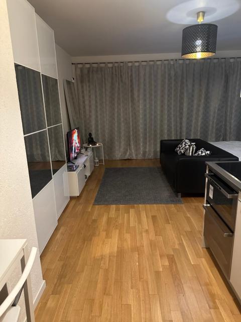 Apartamento Ginebra ch