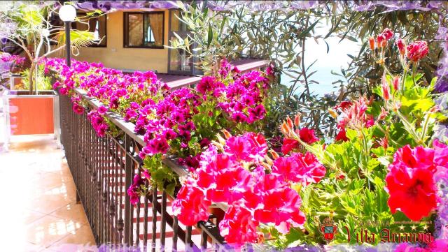 Villa Arianna B&B