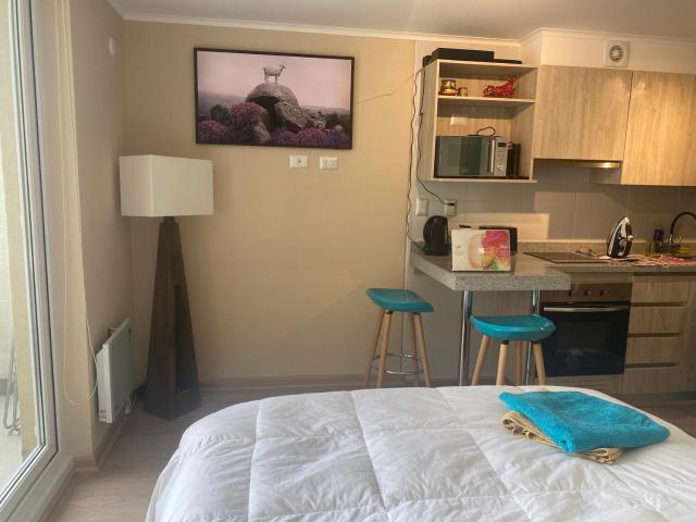 Departamento céntrico y moderno en Osorno