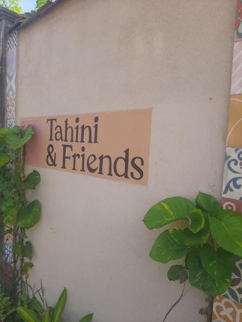 Tahini and Friends Surf, Yoga & Wellness
