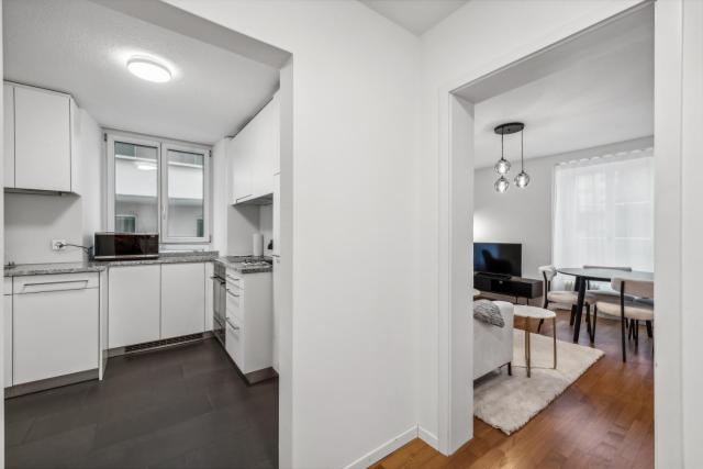 Cosy flat close drive to mount Pilatus
