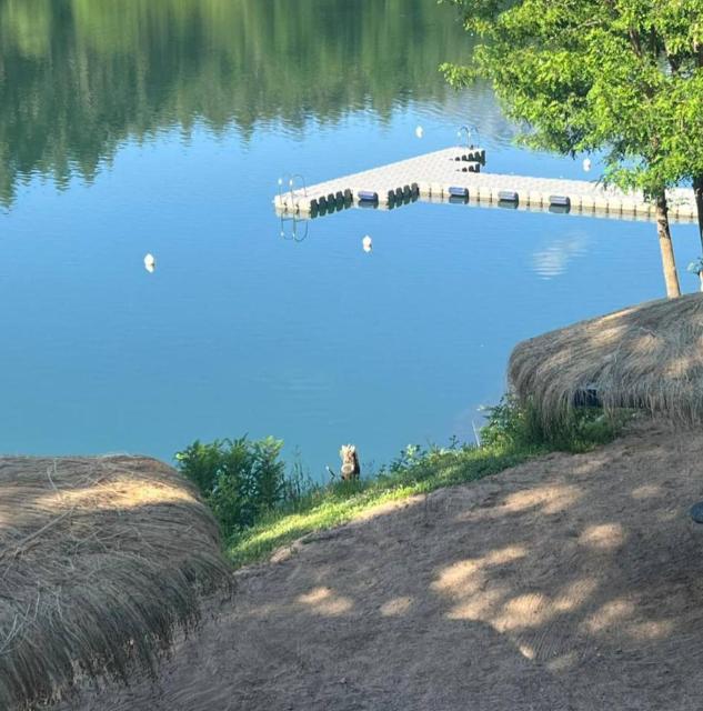 VISTA AL LAGO cabaña rustica