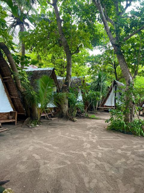 Georgia's Neverland Hostel