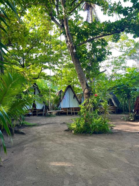 Georgia's Neverland Hostel