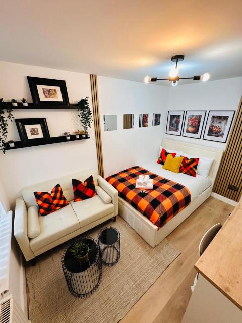 Elegant Private Room with Kitchenette near QE Hospital Harborne R4