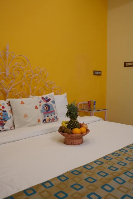 Unplanned Hostel Udaipur