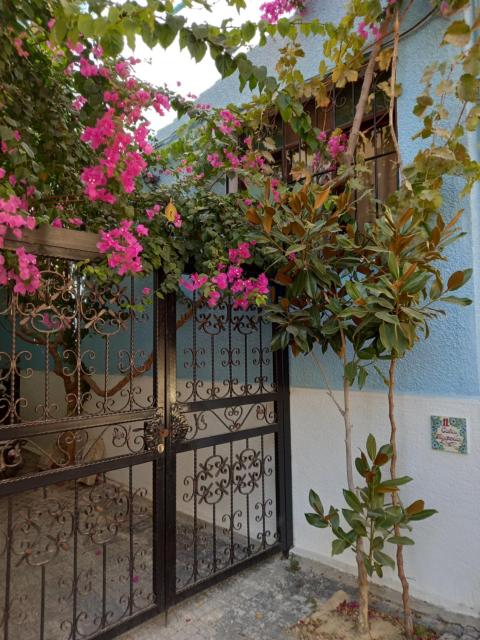 Casa Magnolia Boutique Rooms
