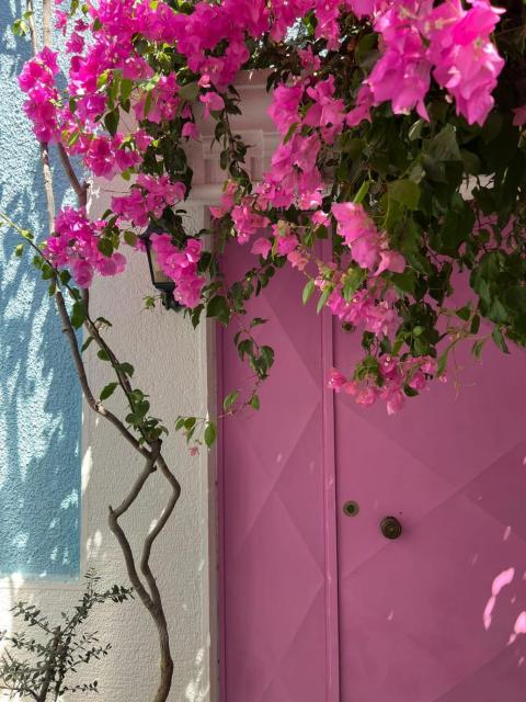 Casa Magnolia Boutique Rooms